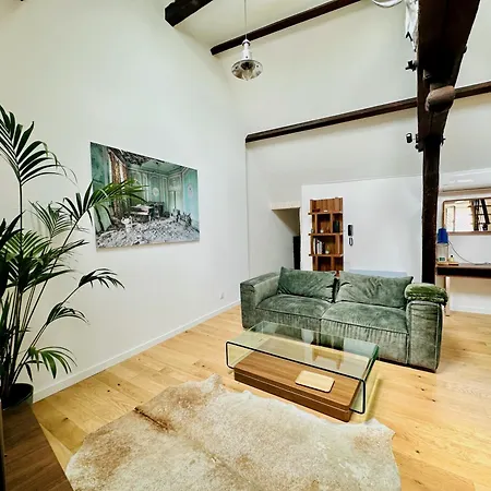 Loft Prestige - Climatisation - Hypercentre